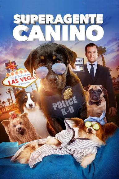 Imagen Superagente canino