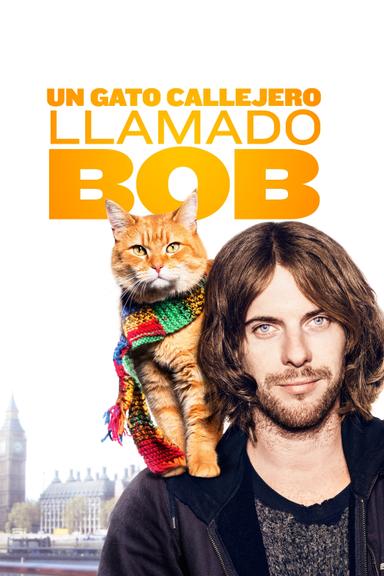 Imagen Un gato callejero llamado Bob