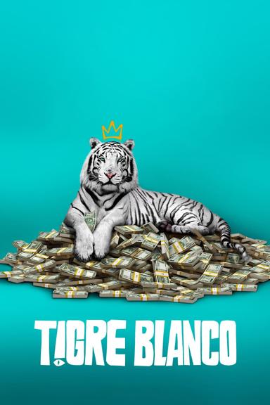 Imagen Tigre Blanco