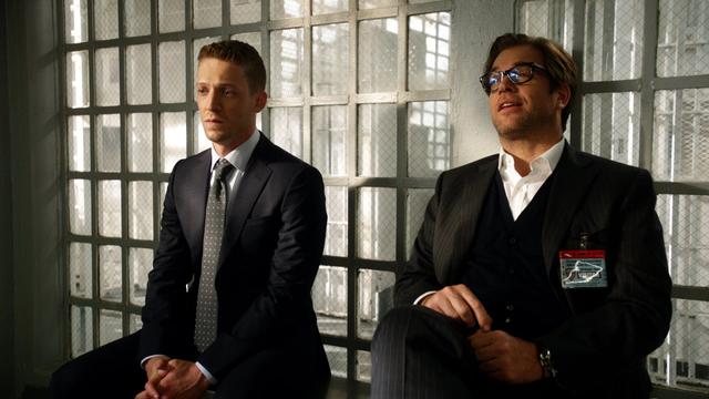 Imagen Bull 1x5