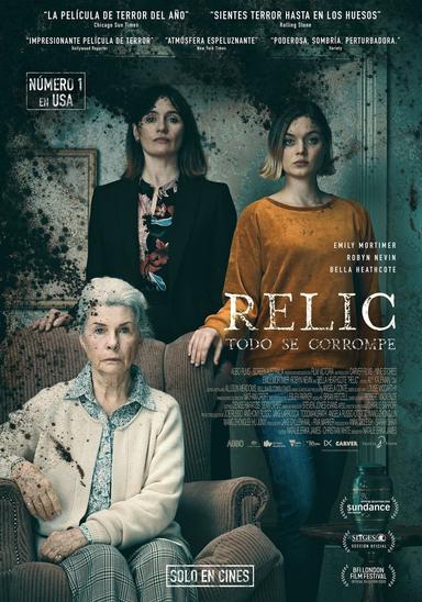 Imagen Relic