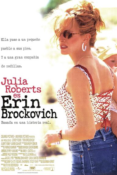 Imagen Erin Brockovich