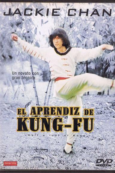 Imagen El aprendiz de Kung Fu