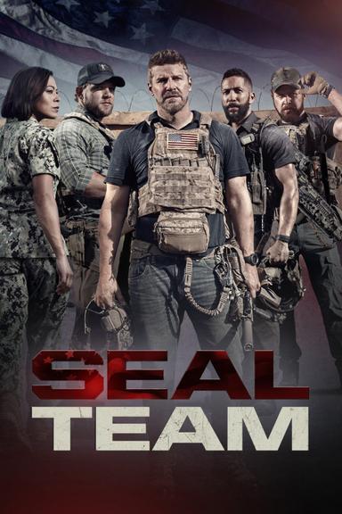 Imagen SEAL Team