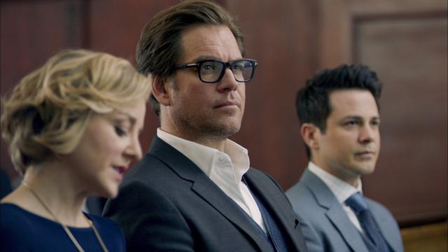 Imagen Bull 1x1