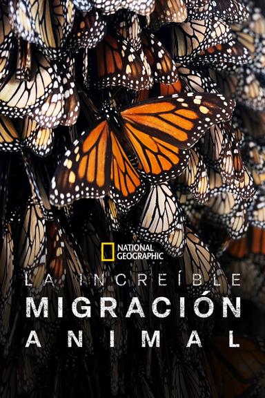 Imagen La increíble migración animal