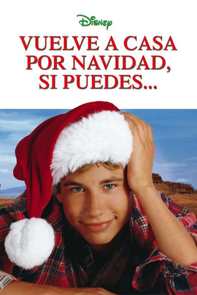 Imagen Vuelve a casa por Navidad, si puedes...