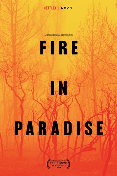 Imagen Fire in Paradise