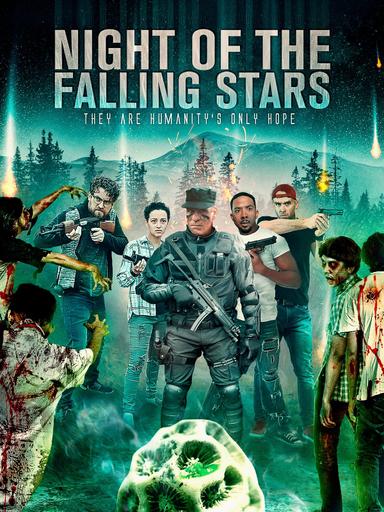 Imagen Night of the Falling Stars