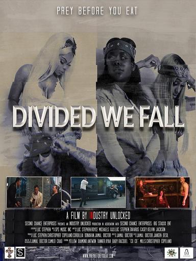 Imagen Divided We Fall