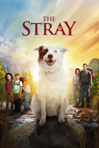 Imagen The Stray