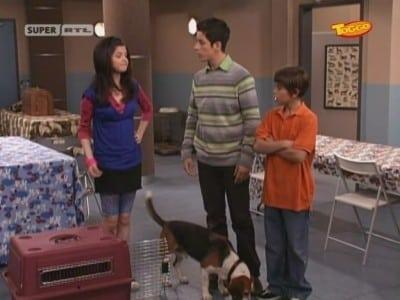 Imagen Los magos de Waverly Place 1x8