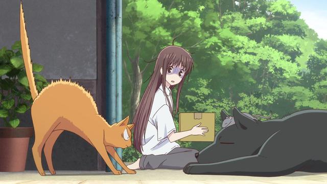 Imagen Fruits Basket 1x2