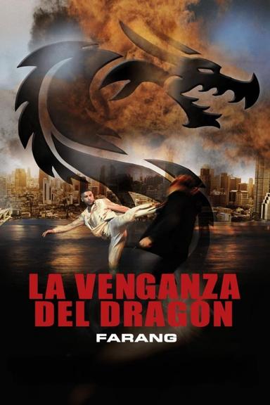 Imagen La venganza del dragón