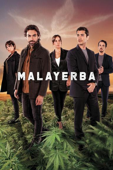 Imagen MalaYerba