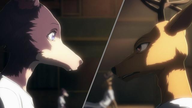 Imagen Beastars 1x8