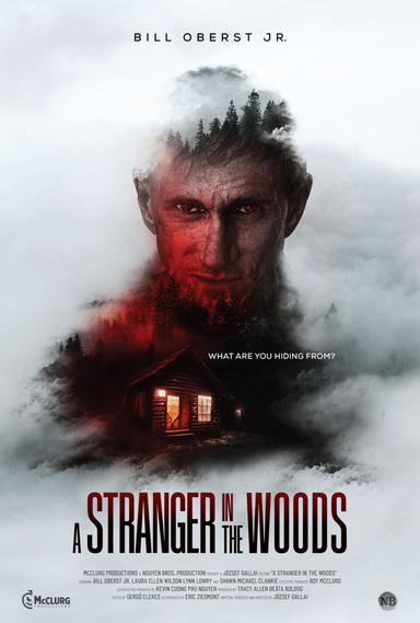 Imagen A Stranger in the Woods