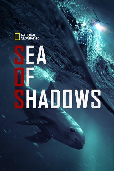 Imagen Sea of Shadows