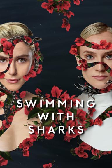 Imagen Swimming with Sharks