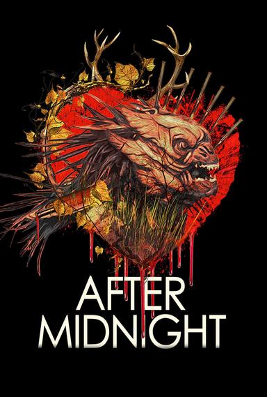 Imagen After Midnight