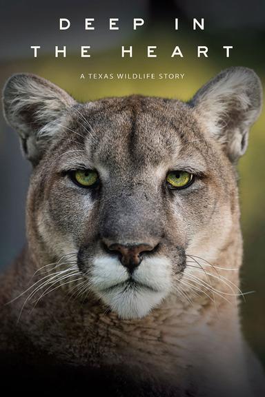 Imagen Deep in the Heart: A Texas Wildlife Story