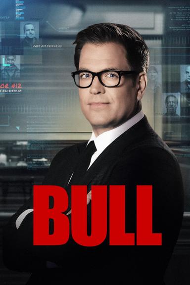 Imagen Bull