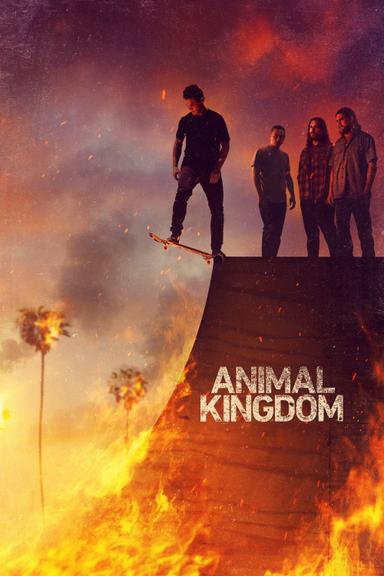 Imagen Animal Kingdom