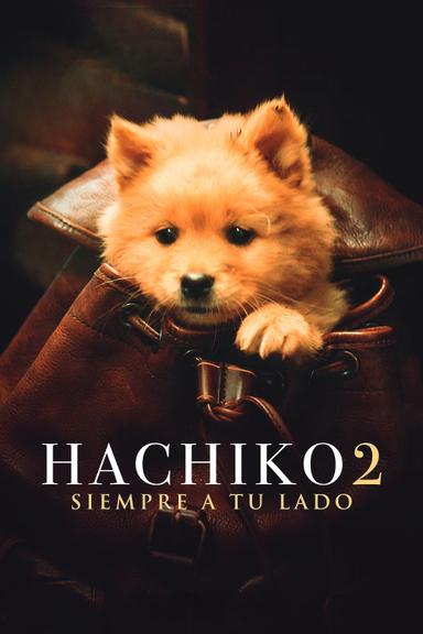 Imagen Hachiko