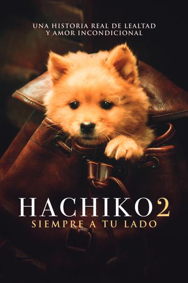 Imagen Hachiko