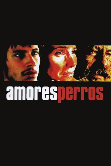 Imagen Amores perros