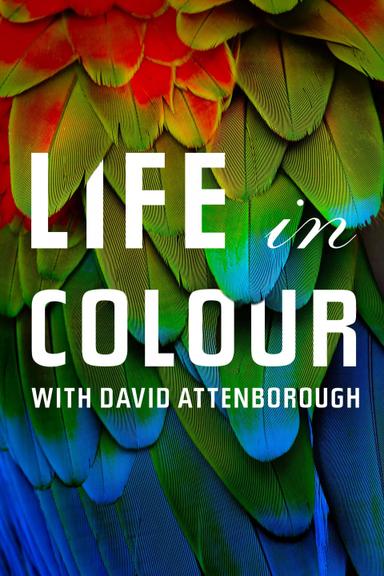 Imagen La vida a todo color, con David Attenborough