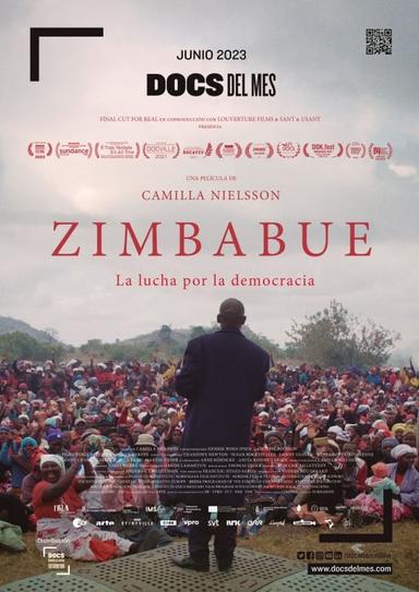 Imagen Zimbabue. La lucha por la democracia