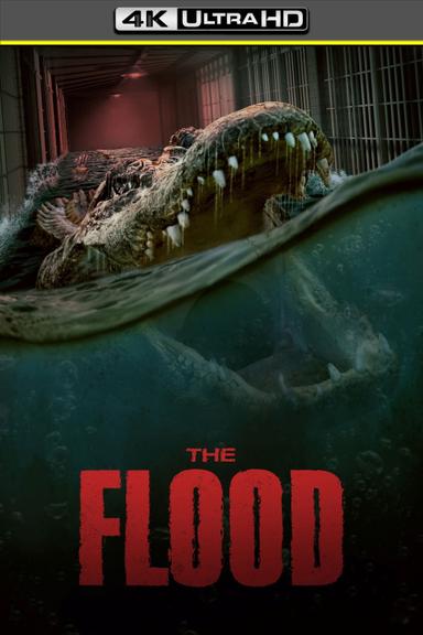 Imagen The Flood