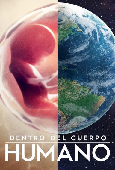 Imagen Dentro del cuerpo humano