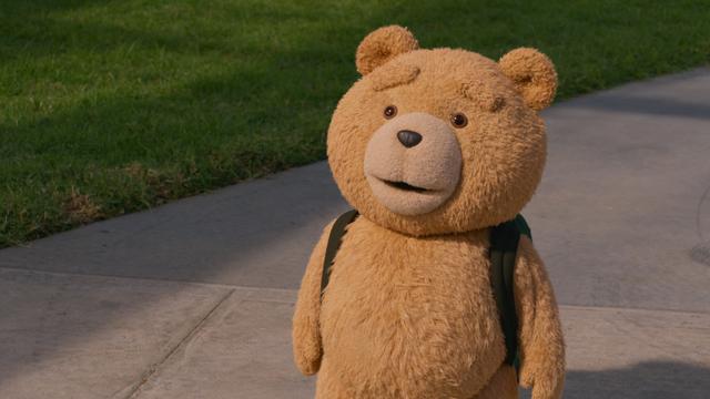 Imagen ted 1x1