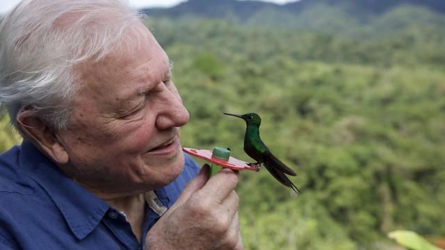 Imagen La vida a todo color, con David Attenborough