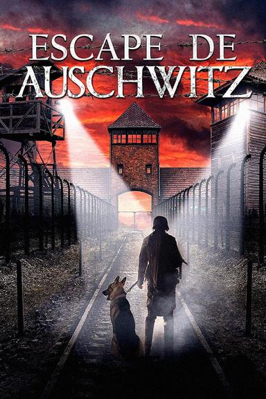 Imagen The Escape from Auschwitz